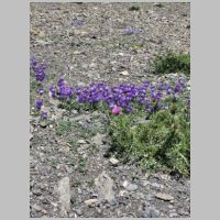 2024alpen_0421.jpg