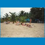 domrep1994_046.jpg